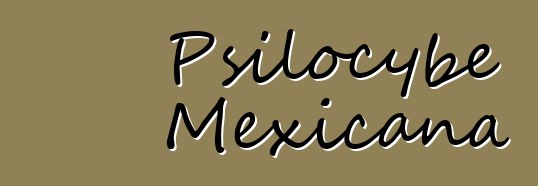 Psilocybe Mexicana