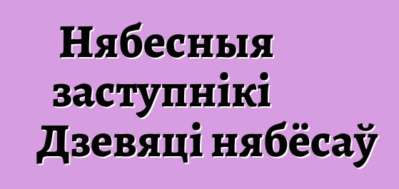 Нябесныя заступнікі Дзевяці нябёсаў