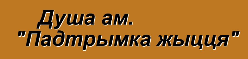 Душа ам. "Падтрымка жыцця"