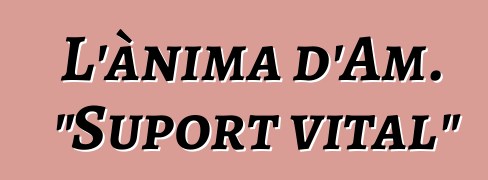 L'ànima d'Am. "Suport vital"