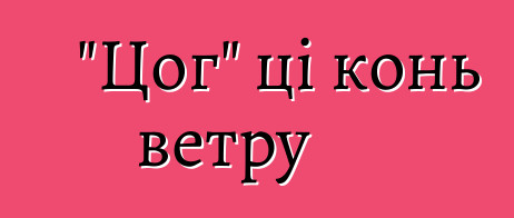 "Цог" ці конь ветру