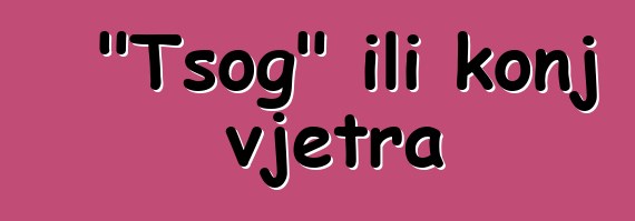 "Tsog" ili konj vjetra