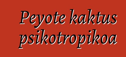 Peyote kaktus psikotropikoa