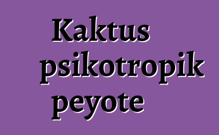 Kaktus psikotropik peyote