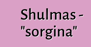 Shulmas - "sorgina"