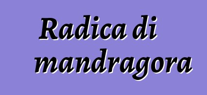 Radica di mandragora