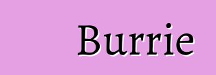 Burrie