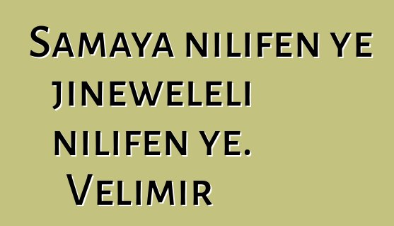 Samaya nilifɛn ye jinɛweleli nilifɛn ye. Velimir