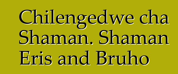 Chilengedwe cha Shaman. Shaman Eris and Bruho