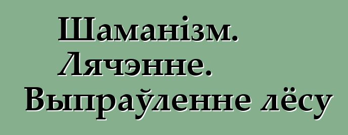 Шаманізм. Лячэнне. Выпраўленне лёсу