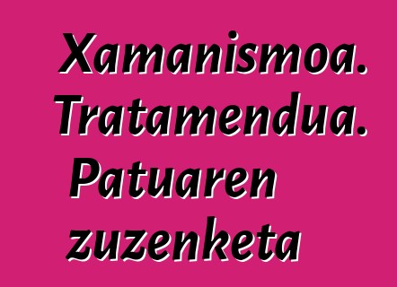 Xamanismoa. Tratamendua. Patuaren zuzenketa