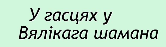 У гасцях у Вялікага шамана