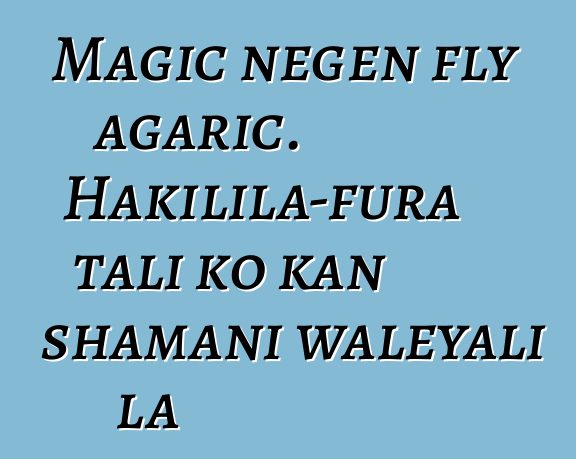 Magic ɲɛgɛn fly agaric. Hakilila-fura tali ko kan shamani waleyali la