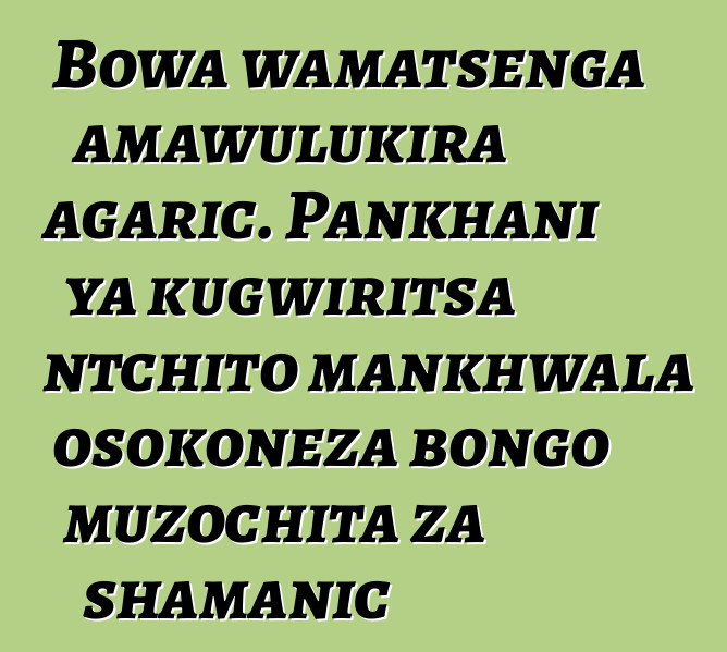 Bowa wamatsenga amawulukira agaric. Pankhani ya kugwiritsa ntchito mankhwala osokoneza bongo muzochita za shamanic