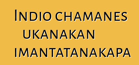 Indio chamanes ukanakan imantatanakapa