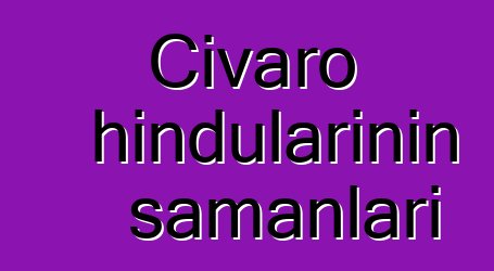 Civaro hindularının şamanları