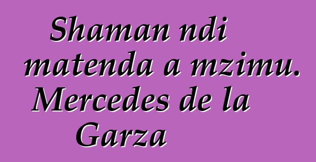 Shaman ndi matenda a mzimu. Mercedes de la Garza