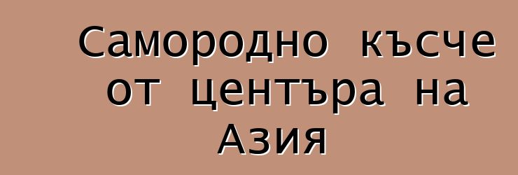 Самородно късче от центъра на Азия