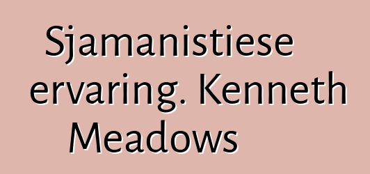 Sjamanistiese ervaring. Kenneth Meadows