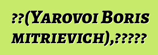 博河（Yarovoi Boris Dmitrievich），阿伊努薩滿