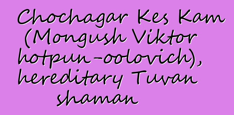 Chochagar Kes Kam (Mongush Viktor Chotpun-oolovich), hereditary Tuvan shaman