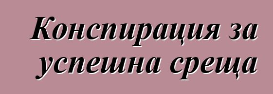 Конспирация за успешна среща