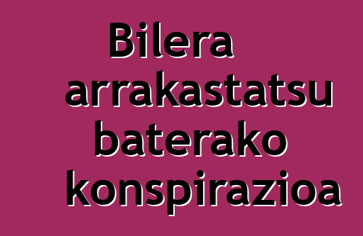 Bilera arrakastatsu baterako konspirazioa