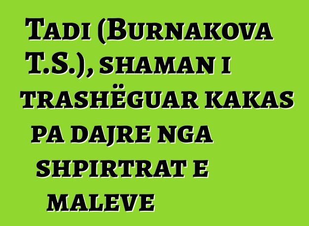 Tadi (Burnakova T.S.), shaman i trashëguar kakas pa dajre nga shpirtrat e maleve