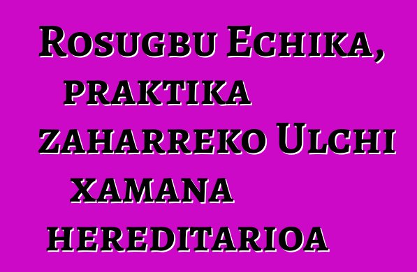 Rosugbu Echika, praktika zaharreko Ulchi xamana hereditarioa