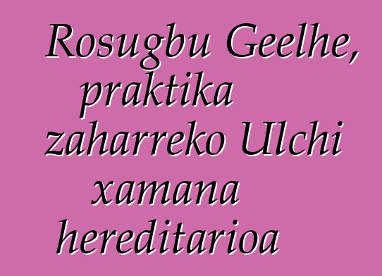 Rosugbu Geelhe, praktika zaharreko Ulchi xamana hereditarioa