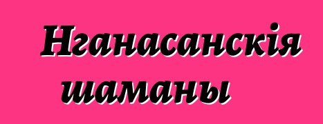 Нганасанскія шаманы