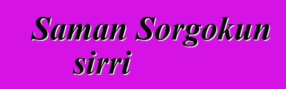 Şaman Sorgokun sirri