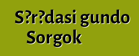 Sɔrɔdasi gundo Sorgok