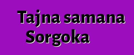 Tajna šamana Sorgoka