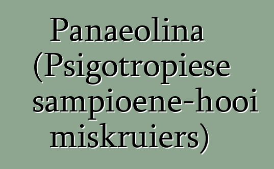 Panaeolina (Psigotropiese sampioene-hooi miskruiers)