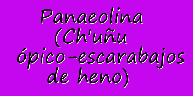 Panaeolina (Ch’uñu psicotrópico-escarabajos de heno)