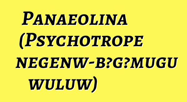 Panaeolina (Psychotrope ɲɛgɛnw-bɔgɔmugu wuluw)