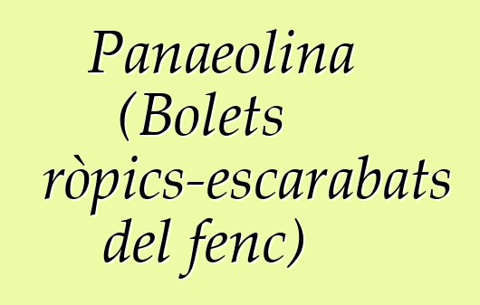 Panaeolina (Bolets psicotròpics-escarabats del fenc)