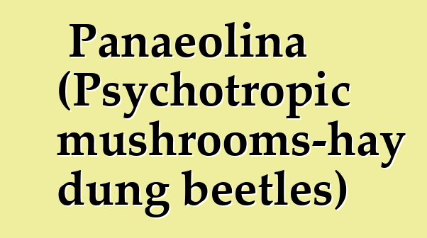 Panaeolina (Psychotropic mushrooms-hay dung beetles)