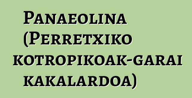 Panaeolina (Perretxiko psikotropikoak-garai kakalardoa)