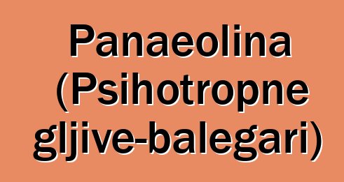 Panaeolina (Psihotropne gljive-balegari)