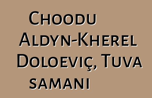 Choodu Aldyn-Kherel Doloeviç, Tuva şamanı