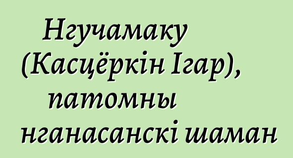 Нгучамаку (Касцёркін Ігар), патомны нганасанскі шаман