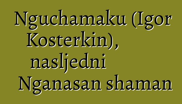 Nguchamaku (Igor Kosterkin), nasljedni Nganasan shaman