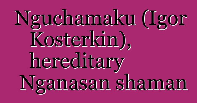 Nguchamaku (Igor Kosterkin), hereditary Nganasan shaman