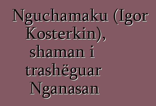 Nguchamaku (Igor Kosterkin), shaman i trashëguar Nganasan