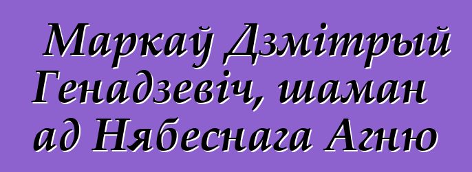 Маркаў Дзмітрый Генадзевіч, шаман ад Нябеснага Агню