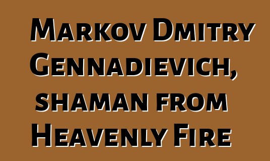 Markov Dmitry Gennadievich, shaman from Heavenly Fire