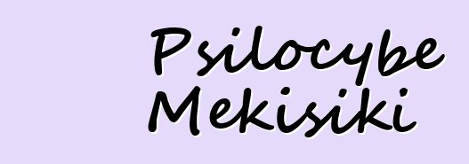 Psilocybe Mɛkisiki