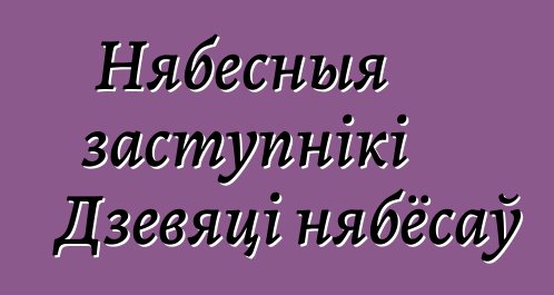 Нябесныя заступнікі Дзевяці нябёсаў